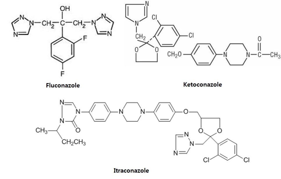 [항진균제] ③ 아졸(Azole) - 먹는 무좀약 치료 관련 이미지 4