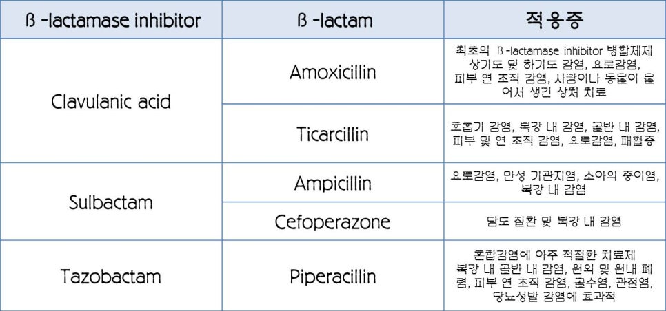[페니실린] ③ 페니실린의 과민반응 관련 이미지 10
