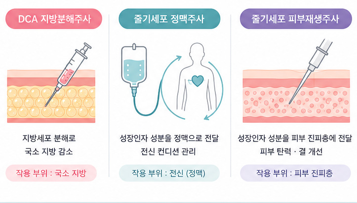 From Fat Reduction to Skin Regeneration: 21 Plastic Surgery’s Area-Specific Approach image 1