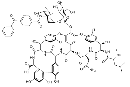 반코마이신(Vancomycin) vs 테이코플라닌(Teicoplanin) 관련 이미지 5