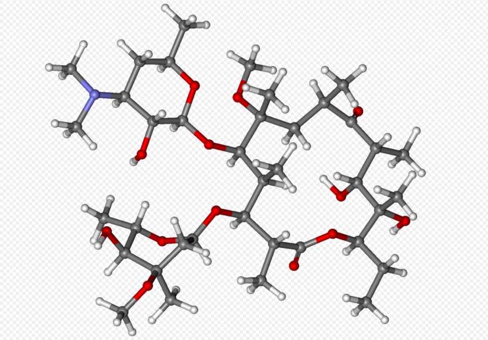 마크로라이드(macrolides) 항생제 ② 관련 이미지 11