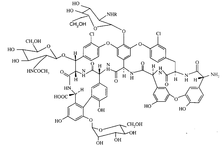 반코마이신(Vancomycin) vs 테이코플라닌(Teicoplanin) 관련 이미지 6