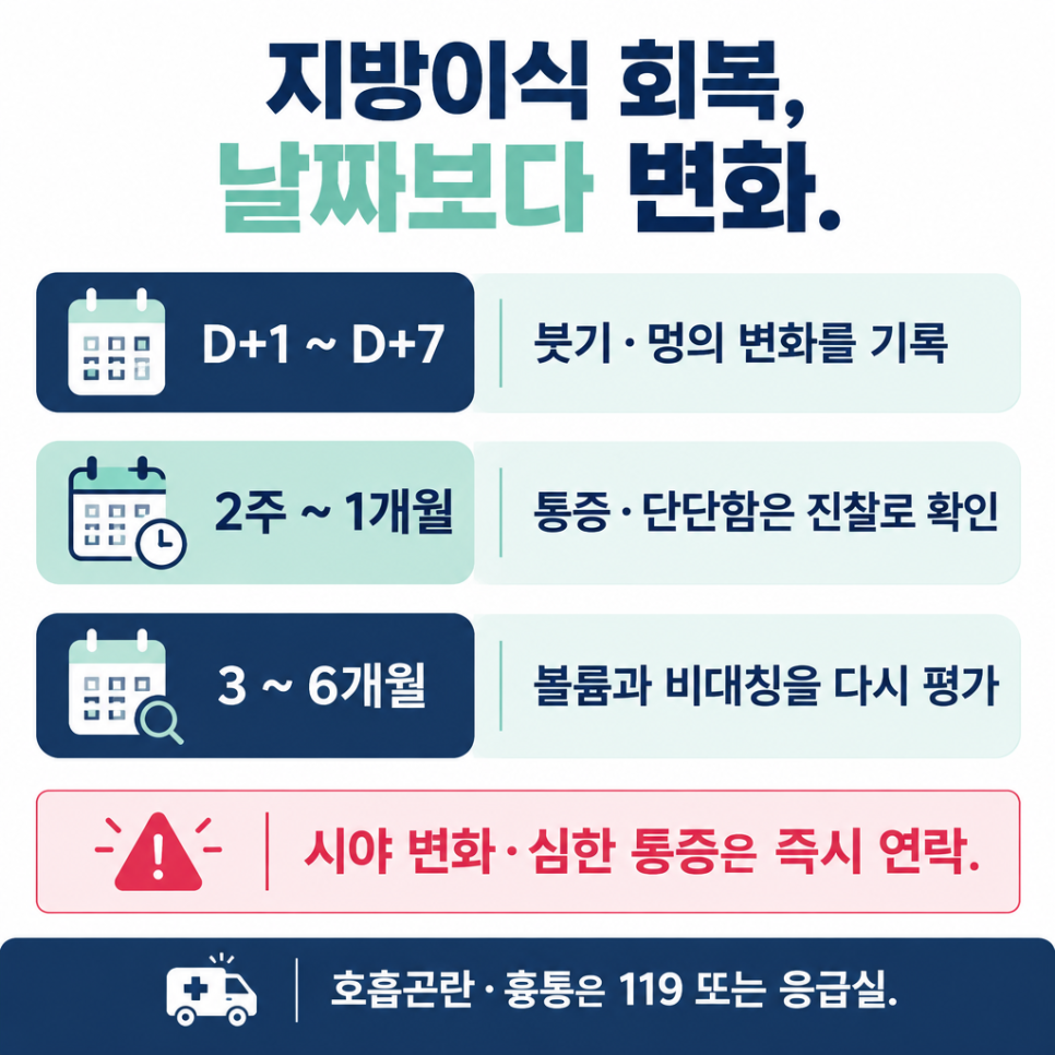지방이식 vs 필러, 성형외과 의사가 말하는 결정적 차이와 한계 관련 이미지 3