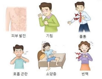 [페니실린] ③ 페니실린의 과민반응 관련 이미지 3