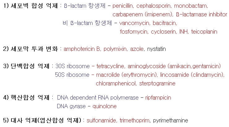 아미노글라이코사이드(Aminoglycosides) ① 관련 이미지 2