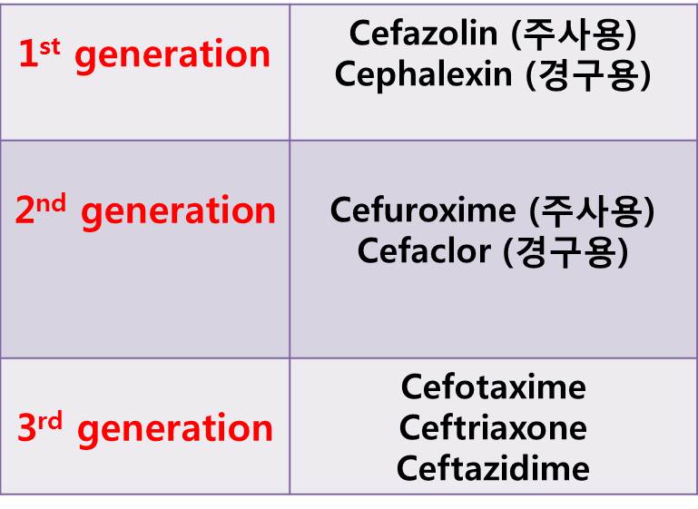 세파(cephalosporin) 항생제 ② 관련 이미지 6