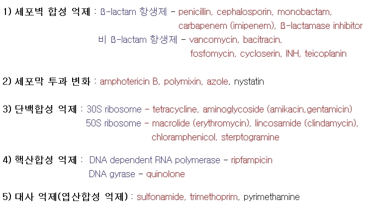 반코마이신(Vancomycin) vs 테이코플라닌(Teicoplanin) 관련 이미지 7