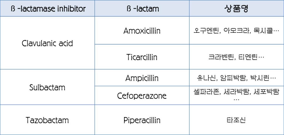 [페니실린] ③ 페니실린의 과민반응 관련 이미지 9