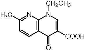 퀴놀론(Quinolones) ① 관련 이미지 2