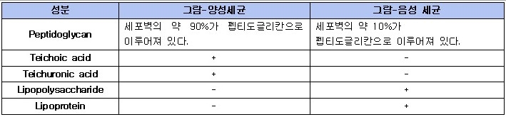 [세균]이란? 세균 분류 방법 관련 이미지 9