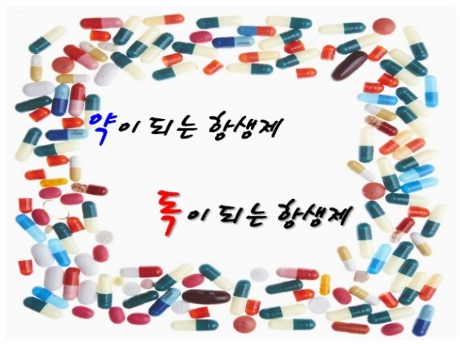 항생제의 역사 관련 이미지 1