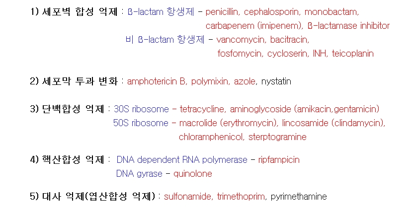 메트로니다졸(metronidazole) 관련 이미지 7