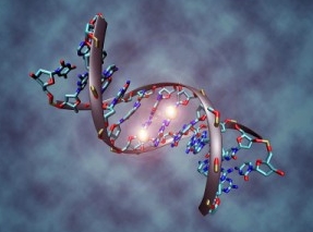 [항 바이러스제] herpes virus (헤르페스 바이러스) ② 관련 이미지 12