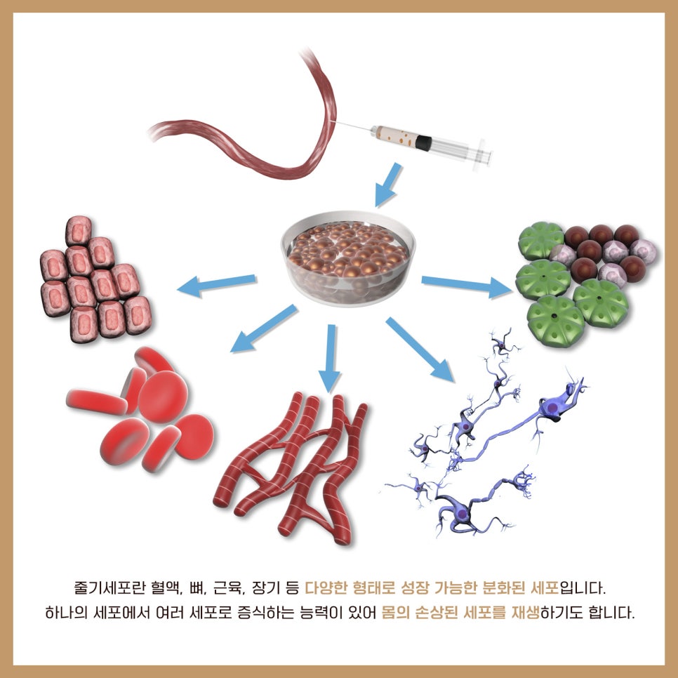 불면증, 줄기세포로 답을 찾다 관련 이미지 2