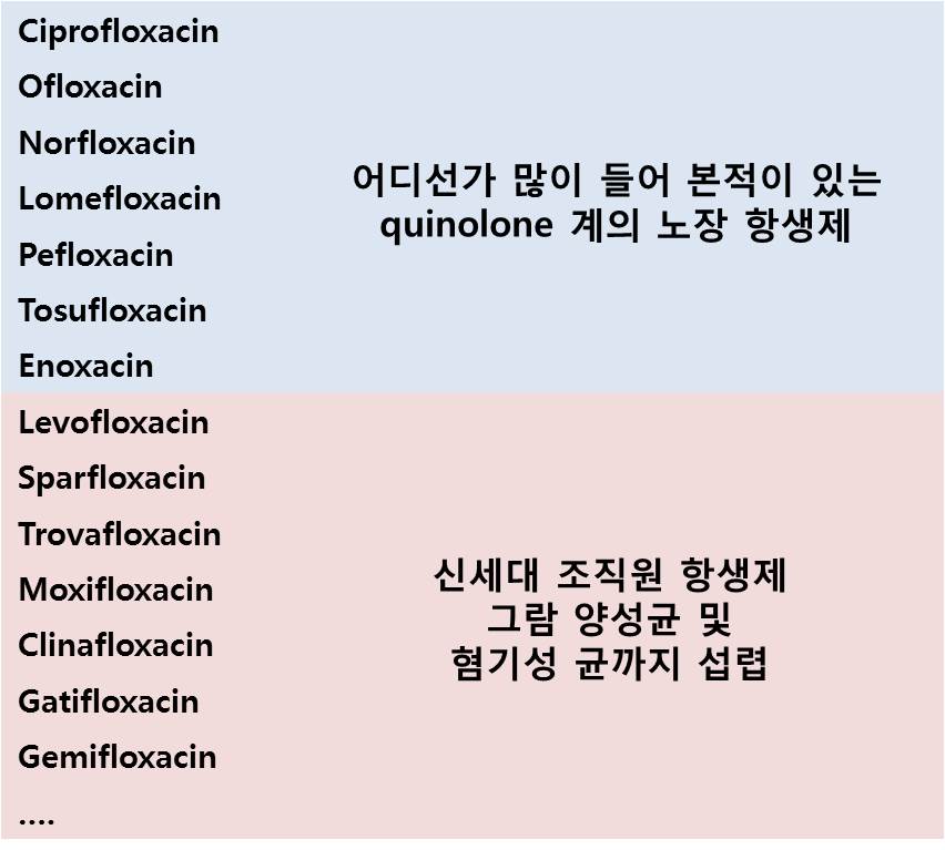 퀴놀론(Quinolones) ① 관련 이미지 5