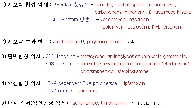 항생제의 작용기전 및 분류 관련 이미지 3