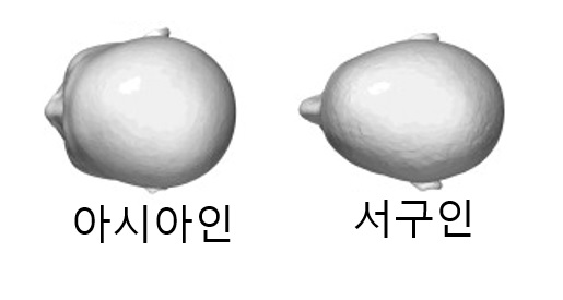 [공유] 예쁜 이마란 무엇일까? - 이마의 미학과 트렌드 관련 이미지 3