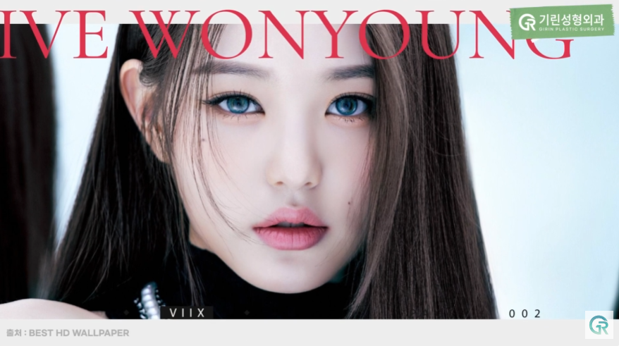[기린성형외과의원] 4세대 걸그룹이 만드는 요즘 얼굴 트렌드는?_성형외과 전문의 얼굴분석 관련 이미지 8