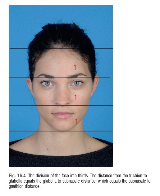 [공유] 예쁜 이마란 무엇일까? - 이마의 미학과 트렌드 관련 이미지 1