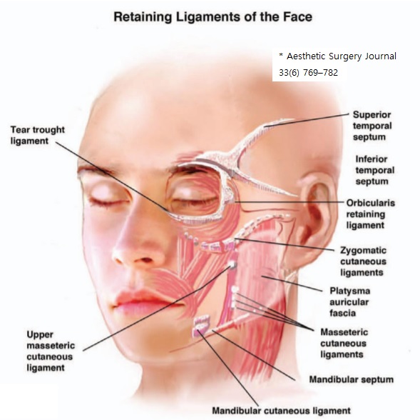 [공유] "이마거상술" 실제 수술은 어떻게 진행되나요? 관련 이미지 1