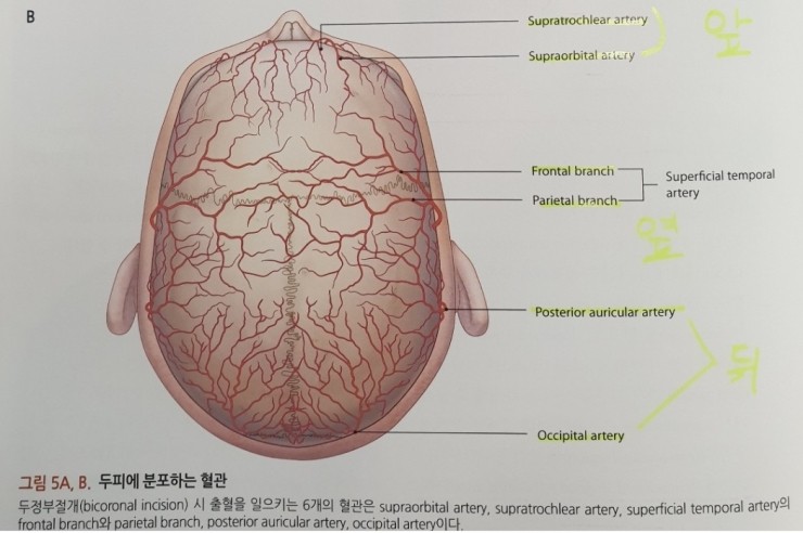 [공유] 이마축소술! 어떤 과정으로 수술하는지 알려드립니다 (안심하세요!) <<수술과정 大해부>> 관련 이미지 5