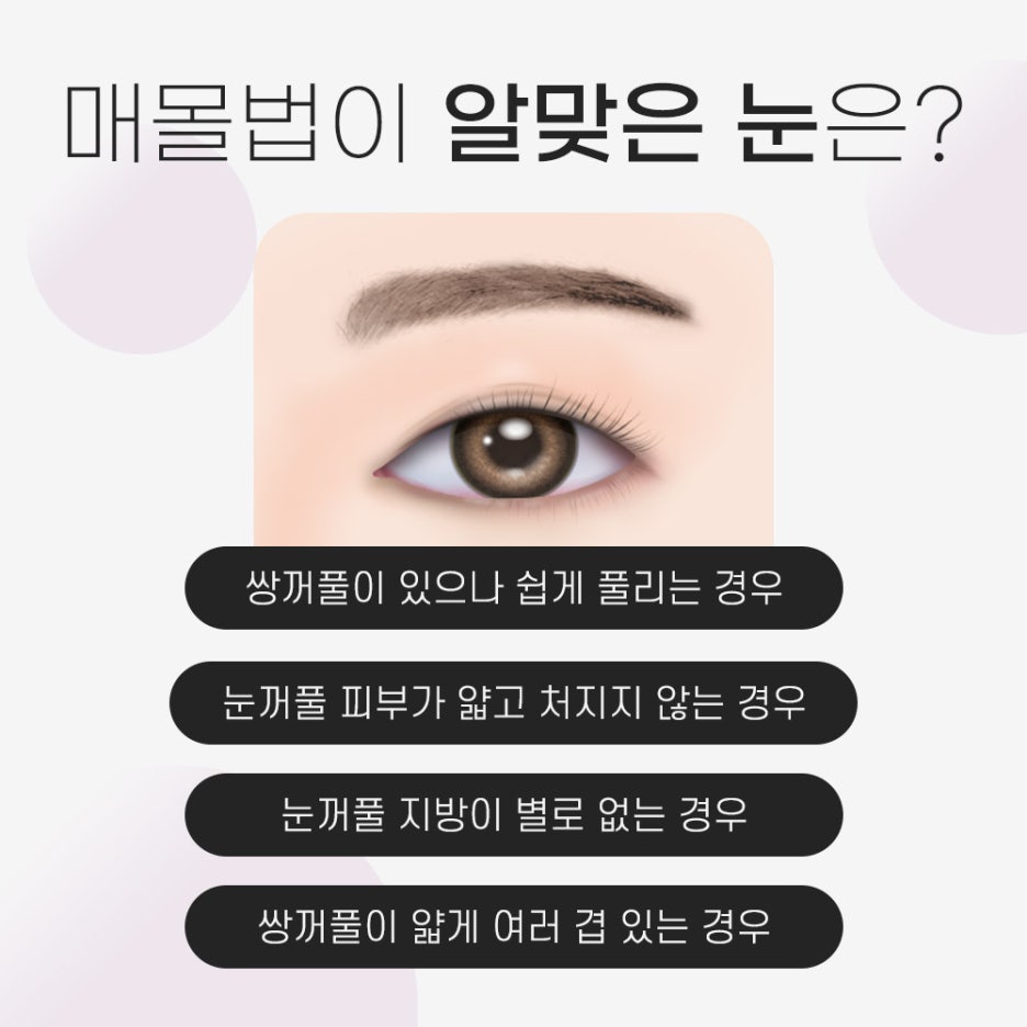 매몰 쌍꺼풀 생기있는 매력적인 이미지 관련 이미지 2