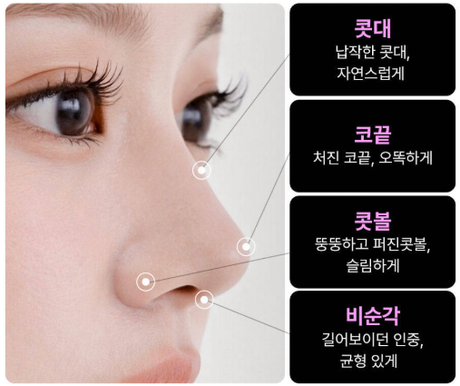 Can the Nose Line Be Improved and a Bulbous Nose Corrected at the Same Time Without Surgery? image 1