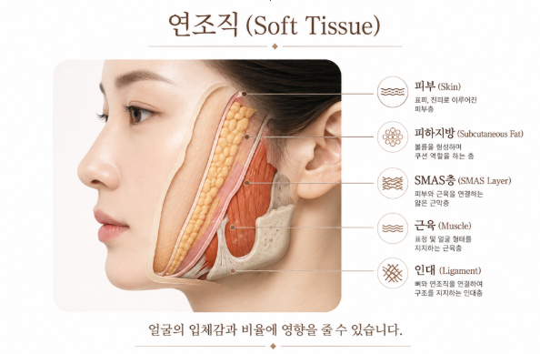 연조직윤곽술이란? 얼굴이 커 보이는 이유, 꼭 뼈 때문만은 아닙니다 관련 이미지 2