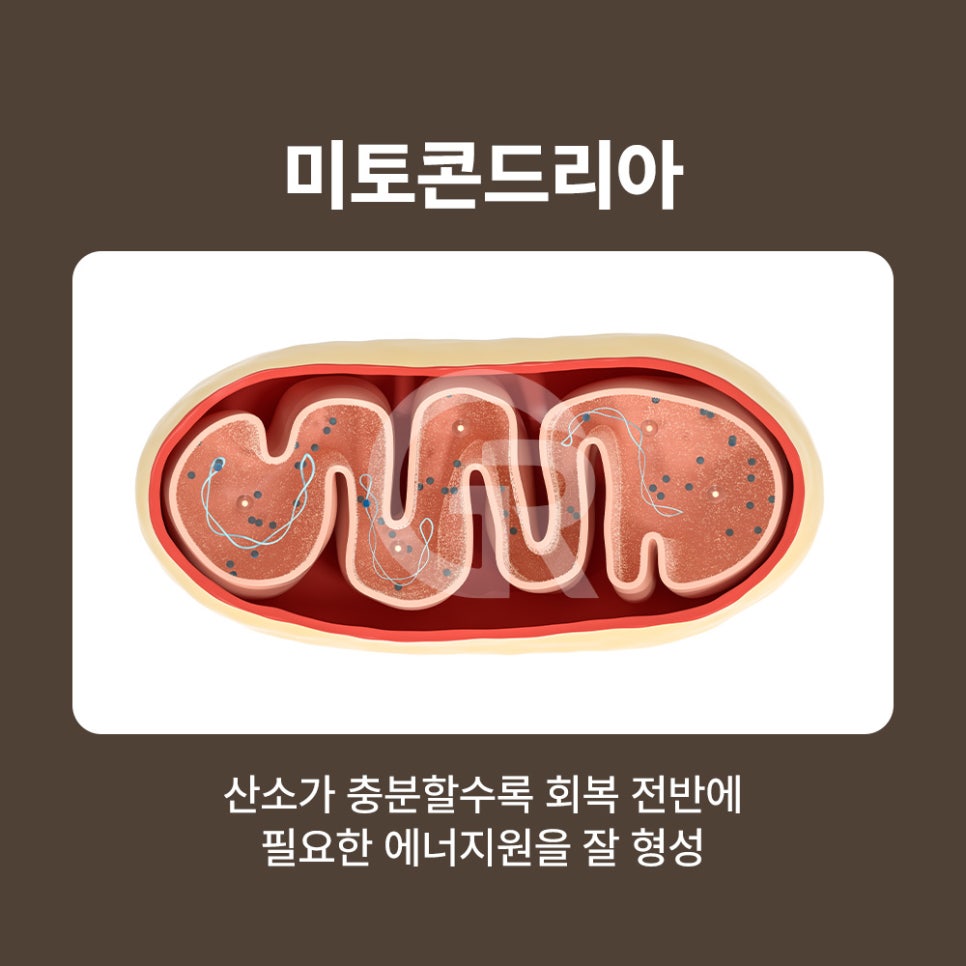 기린성형외과 고압산소치료 최신식 3기압 장비의 차별점 관련 이미지 5