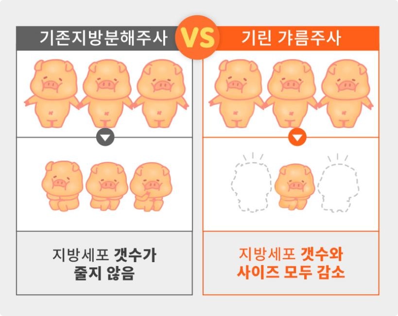 강남지방분해주사, 의미 없는 유형은? 관련 이미지 8