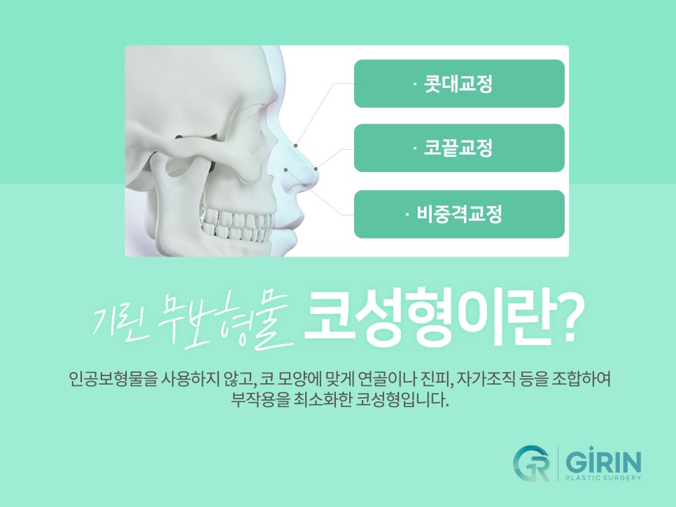 무보형물 코수술 라인을 잡아주며 관련 이미지 2
