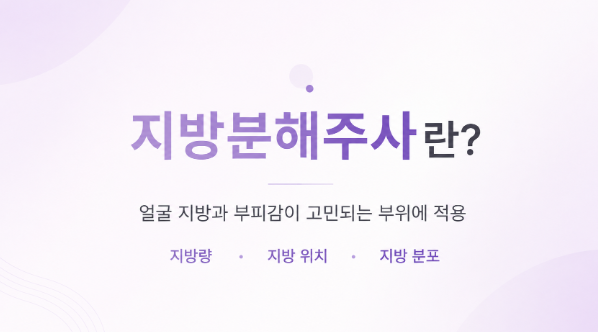 지방분해주사란? 효과와 얼굴 적용 부위 알아보기 관련 이미지 2