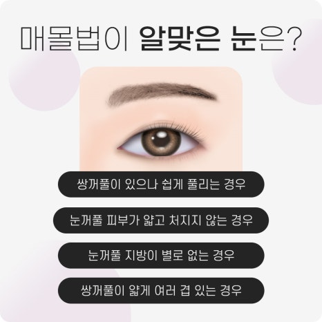 쌍수가격? 의미 없는 이유 관련 이미지 5