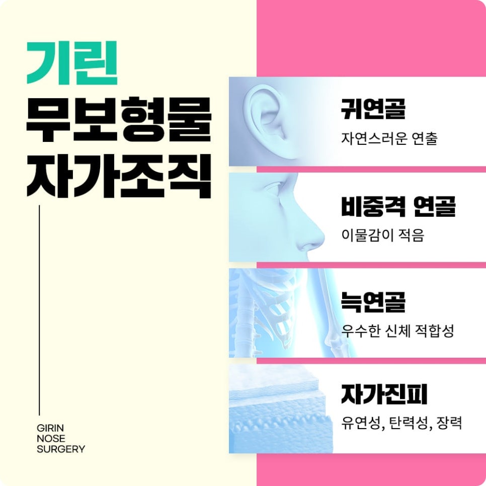 콧대높이기? 관련 이미지 6