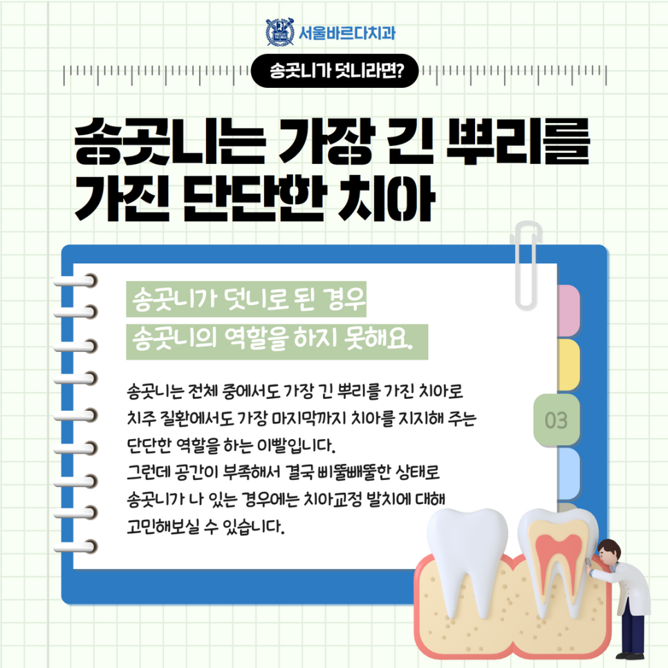 고덕치과 서울바르다치과, 치아교정 발치 꼭 해야만 되는 건가요? 관련 이미지 6