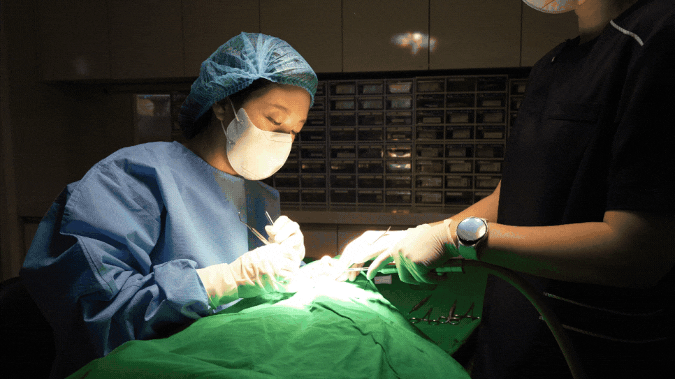 매복 사랑니 발치 후 냄새 드라이소켓 증상일 수 있습니다 . 관련 이미지 1