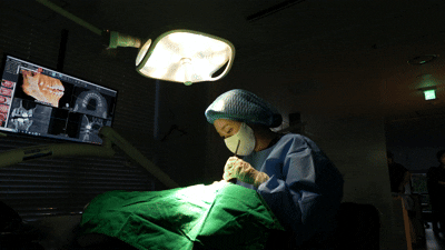 치아 교정 스크류 통증 의외로 이렇습니다. 관련 이미지 1