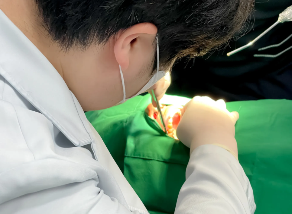 강일동 임플란트 뼈이식재 종류는 뭔가요? 안전성이 걱정되신다면 필독 관련 이미지 2