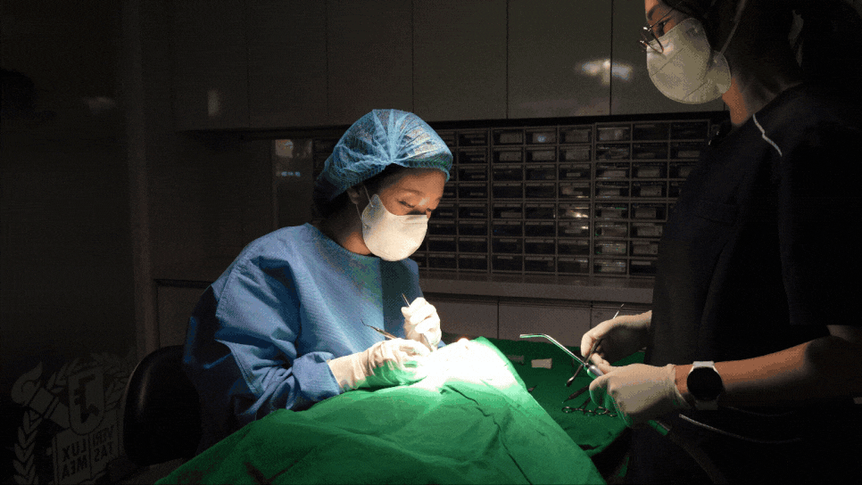 어금니 치아 파절 부러짐 발치까지 이어질 수 있습니다. 관련 이미지 1