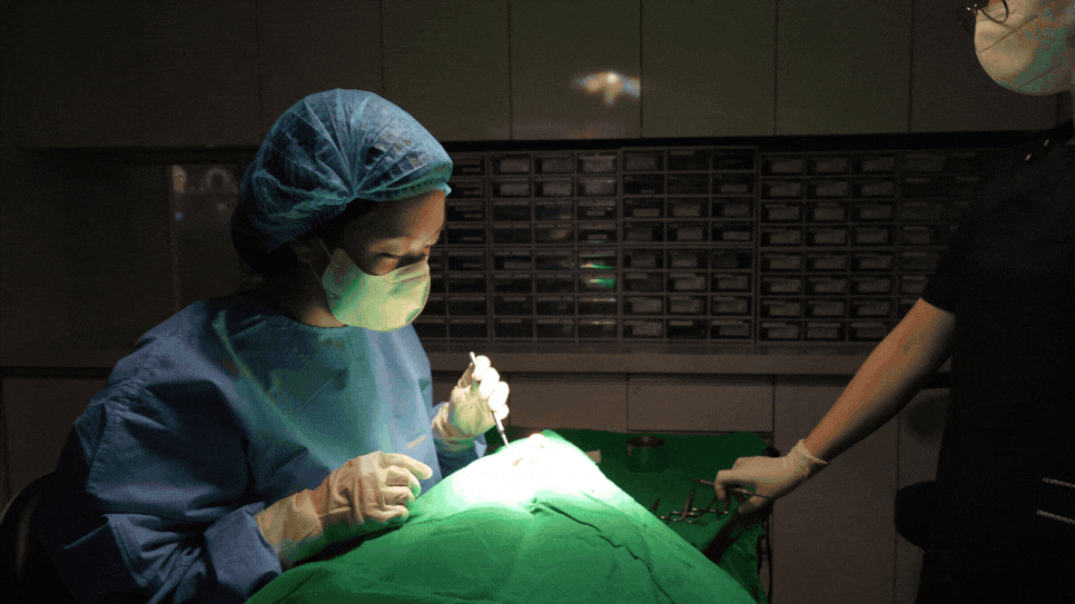 상일동역 치과 상악동 수술 후 코피 이렇게 대처하세요! 관련 이미지 1