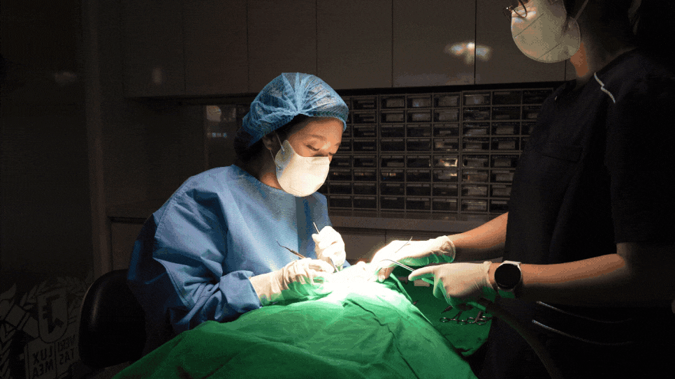 고덕동치과 임플란트 악취 냄새가 나는 이유는? 관련 이미지 1