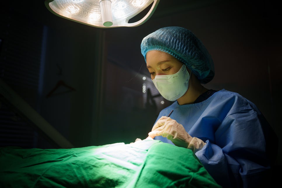 어금니 임플란트 1개 가격 왜이렇게 천차만별일까? 관련 이미지 3