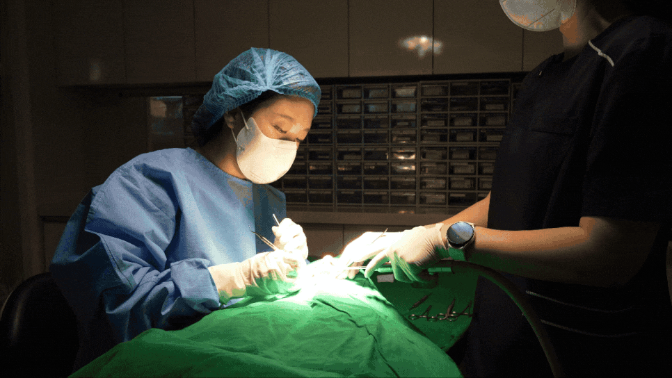 서울 네비게이션 임플란트 치과 불안할 때 좋은 선택지가 될 수 있습니다. 관련 이미지 1