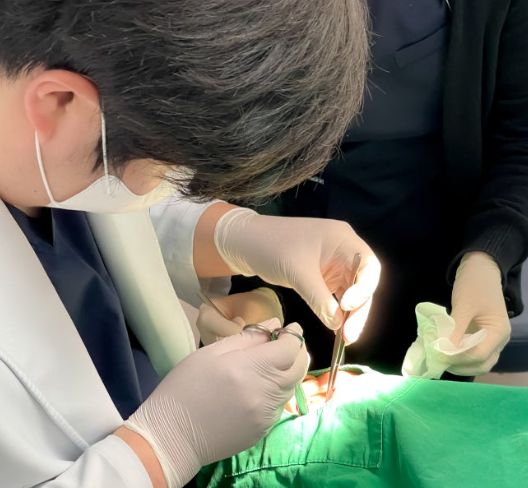 강남치과폐업 제발 호갱당하지마세요. 임플란트 병원 선택기준은? 관련 이미지 1