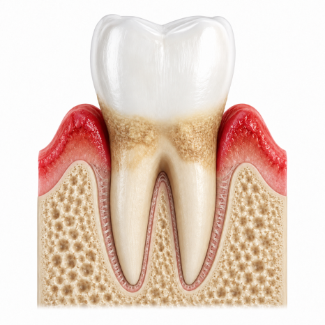 My Tooth Was Loose, Then It Fell Out at Home... image 5
