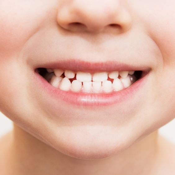 치아에 좋은 영양소와 음식들 관련 이미지 2