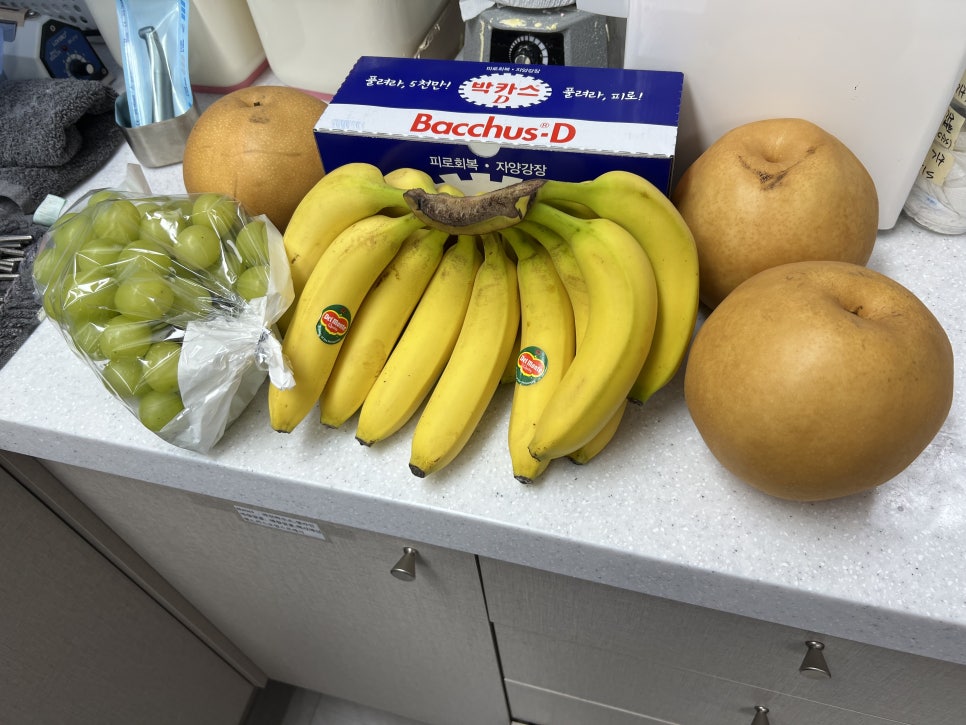 상일동 근처 치과 얇은뼈 틀니 안될 때 해결 방법은?? 관련 이미지 12