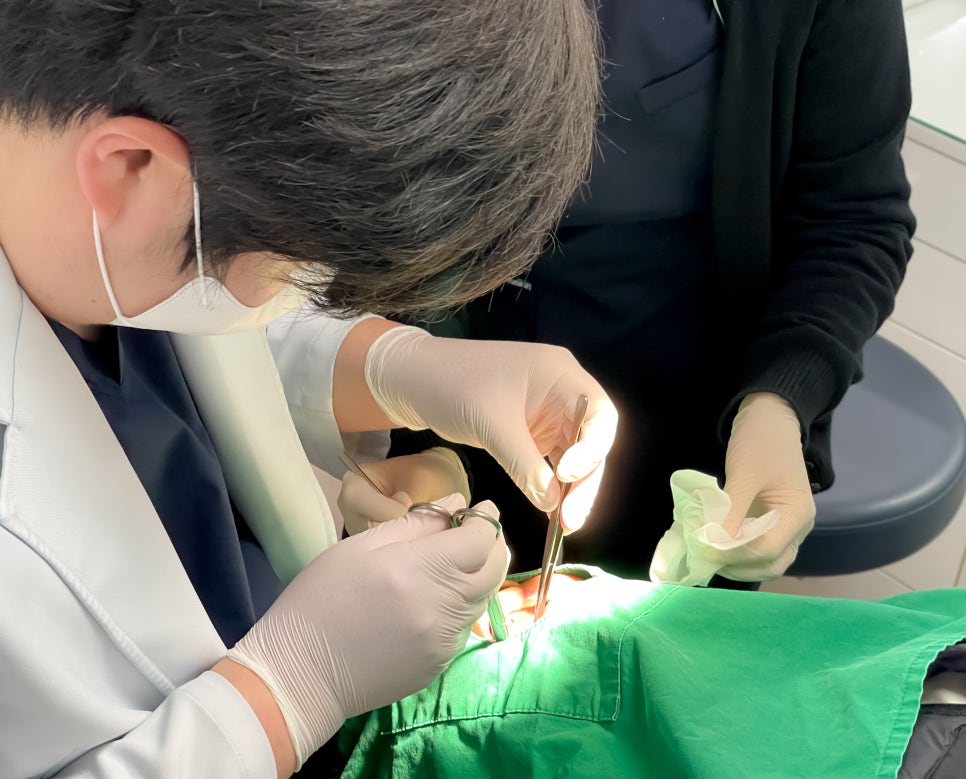 상일동 임플란트 상악동 거상술을 동반한 수술 증례 관련 이미지 5