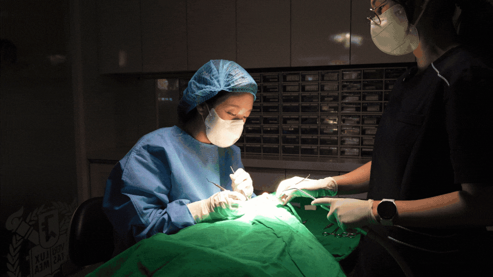 강동구 임플란트 수술 전 확인하면 좋을 3가지 관련 이미지 1