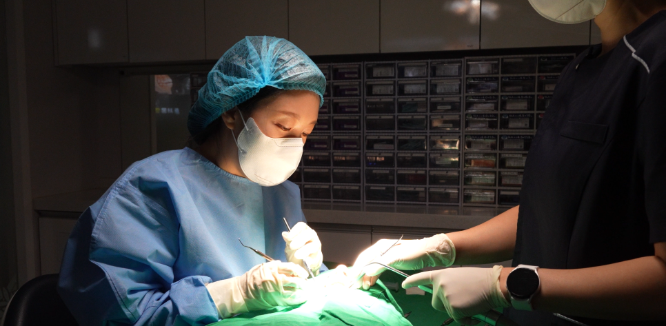 임플란트 vs 자연치아 이 그냥 뽑을까요? 라고 이야기는 환자분들께 관련 이미지 3